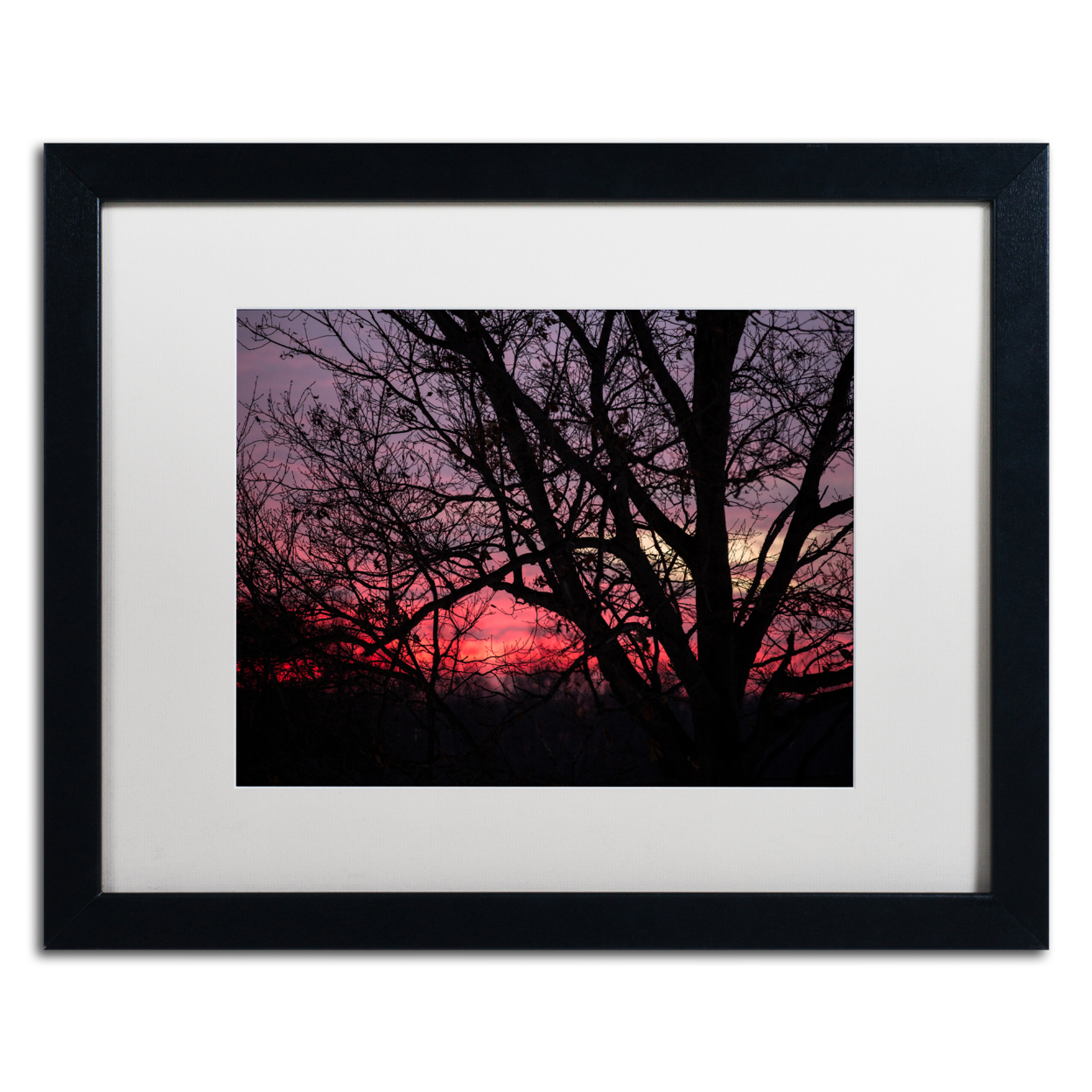 Jason Shaffer 'Pink Sunset' Black Wooden Framed Art 18 X 22 Inches