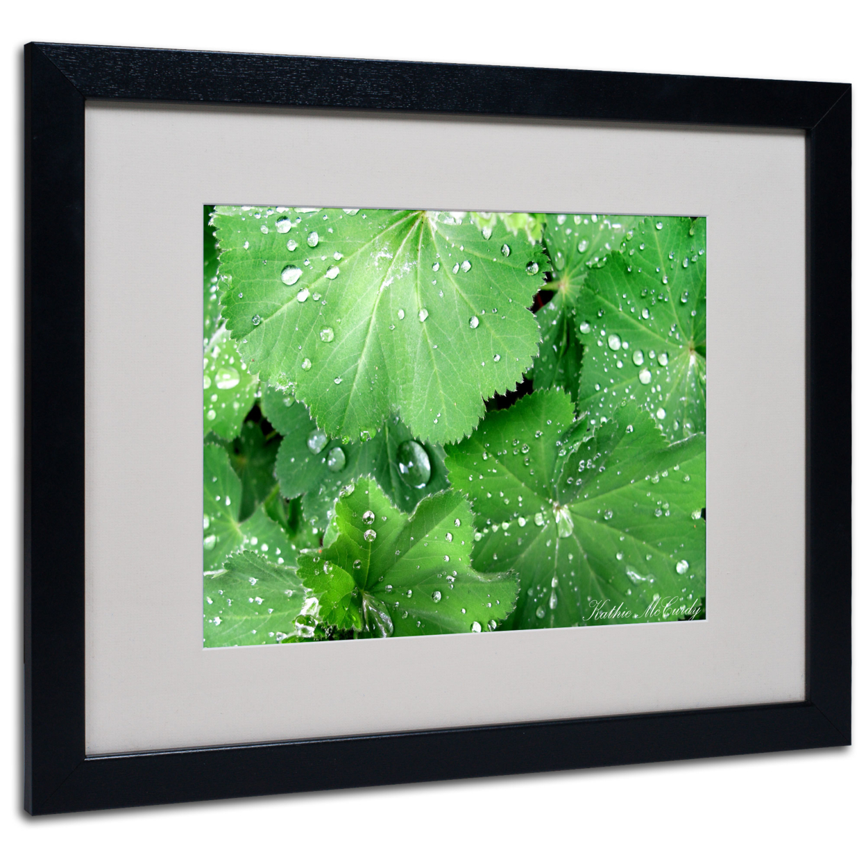 Kathie McCurdy 'Water Droplets' Black Wooden Framed Art 18 X 22 Inches