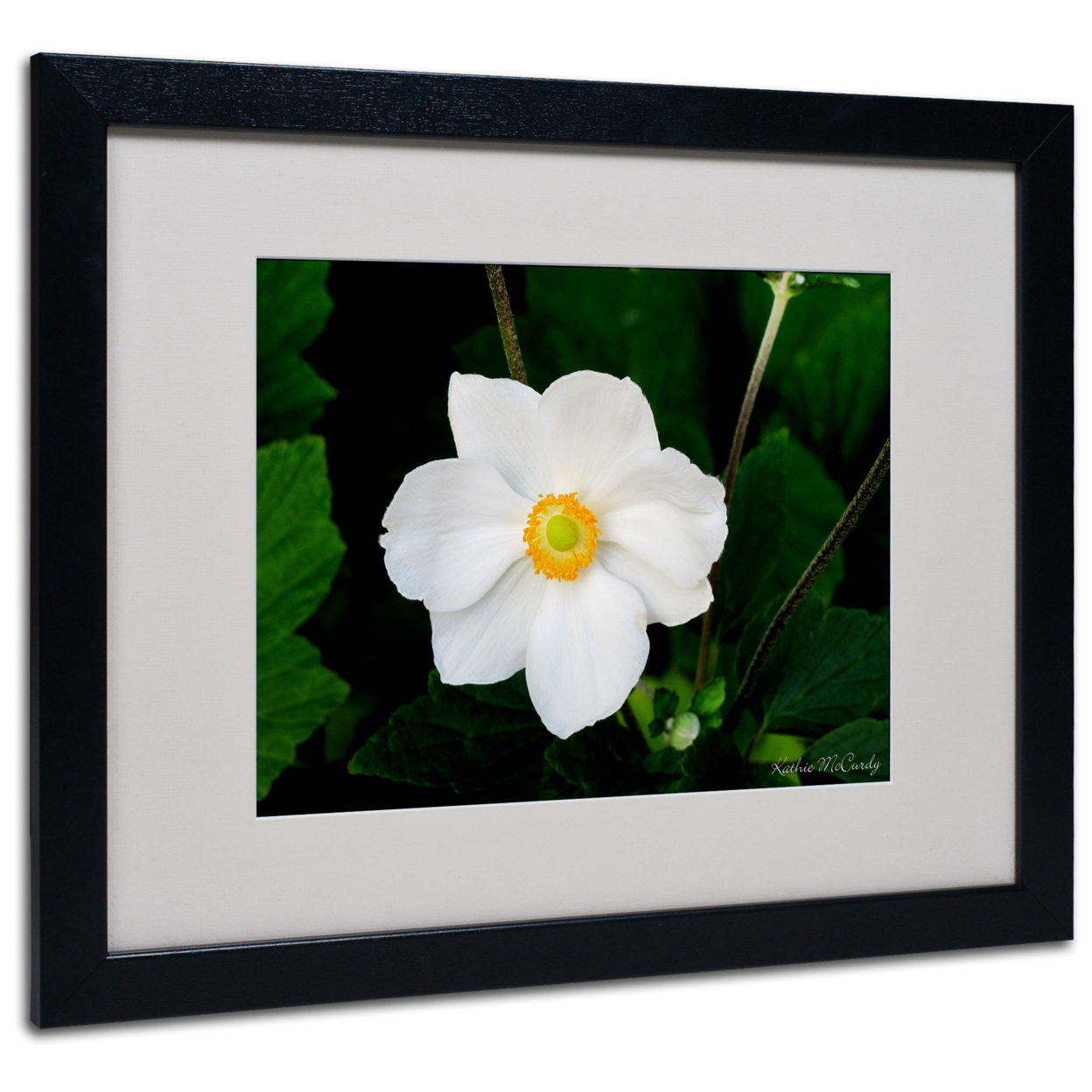 Kathie McCurdy 'Big White Flower' Black Wooden Framed Art 18 X 22 Inches