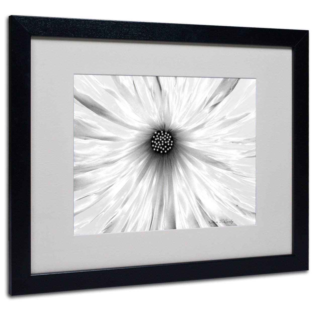 Kathie McCurdy 'White Garden' Black Wooden Framed Art 18 X 22 Inches