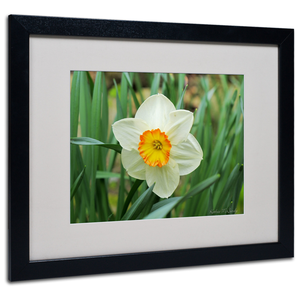 Kathie McCurdy 'Furnace Run Daffodil' Black Wooden Framed Art 18 X 22 Inches