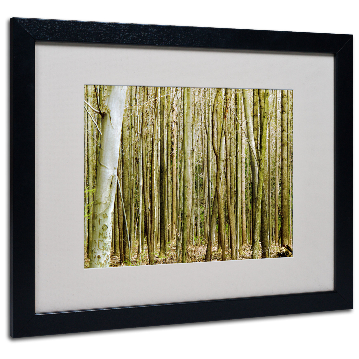 Kathie McCurdy 'Forest Floor Spring' Black Wooden Framed Art 18 X 22 Inches