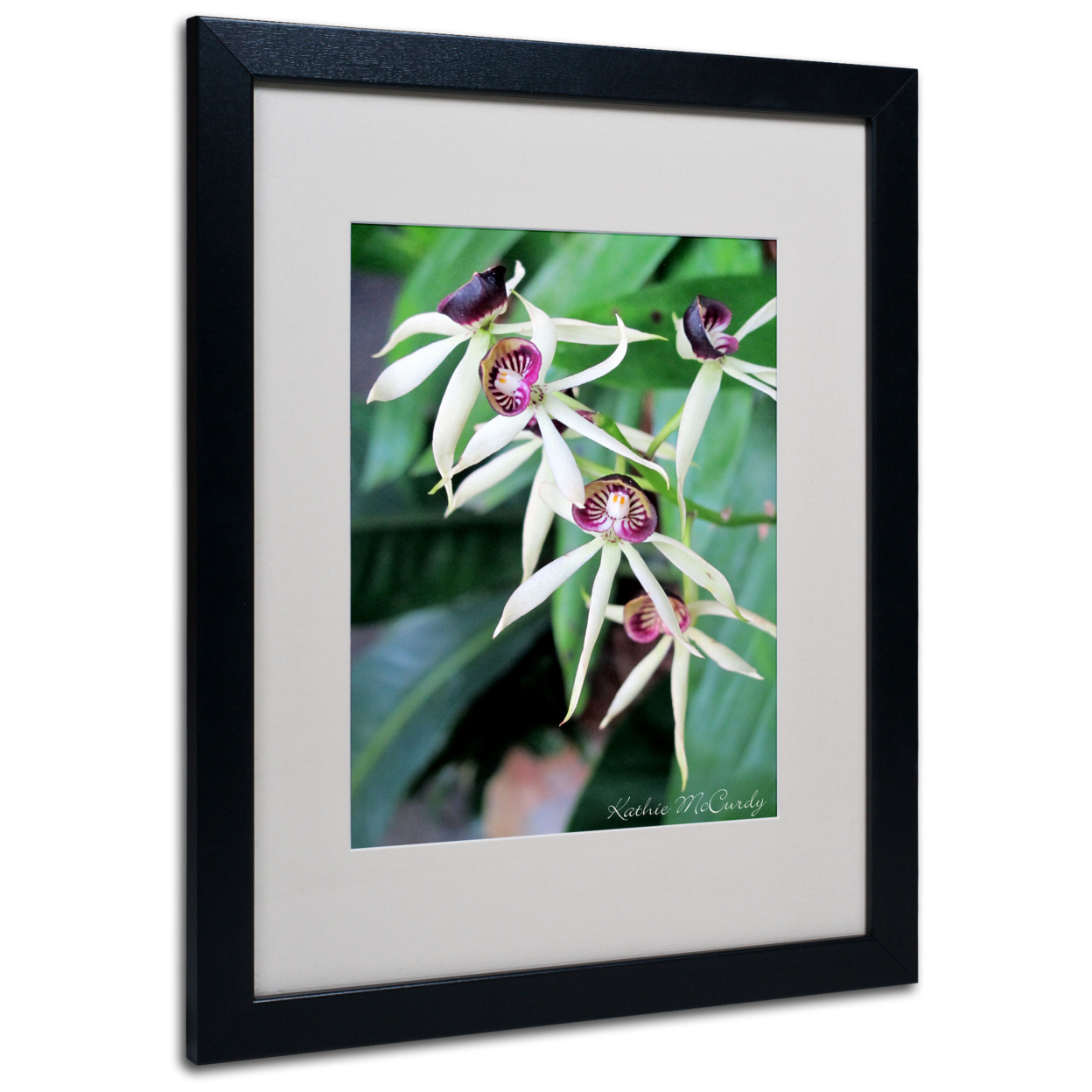 Kathie McCurdy 'Orchids II' Black Wooden Framed Art 18 X 22 Inches