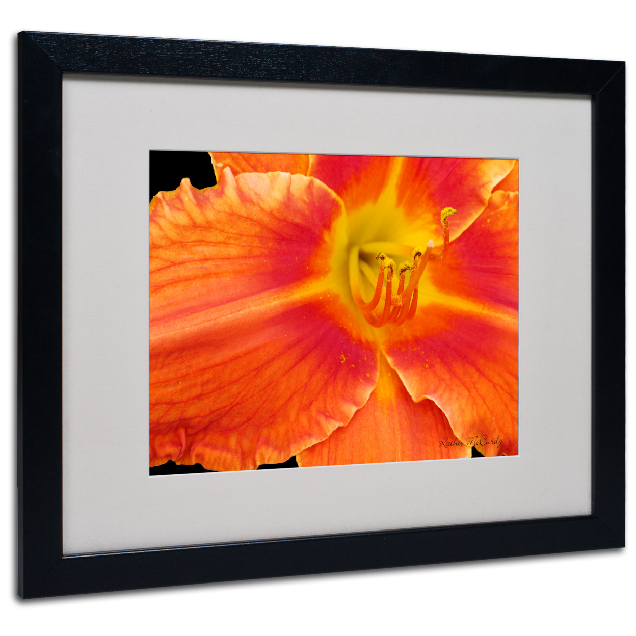Kathie McCurdy 'Orange Day Lily' Black Wooden Framed Art 18 X 22 Inches
