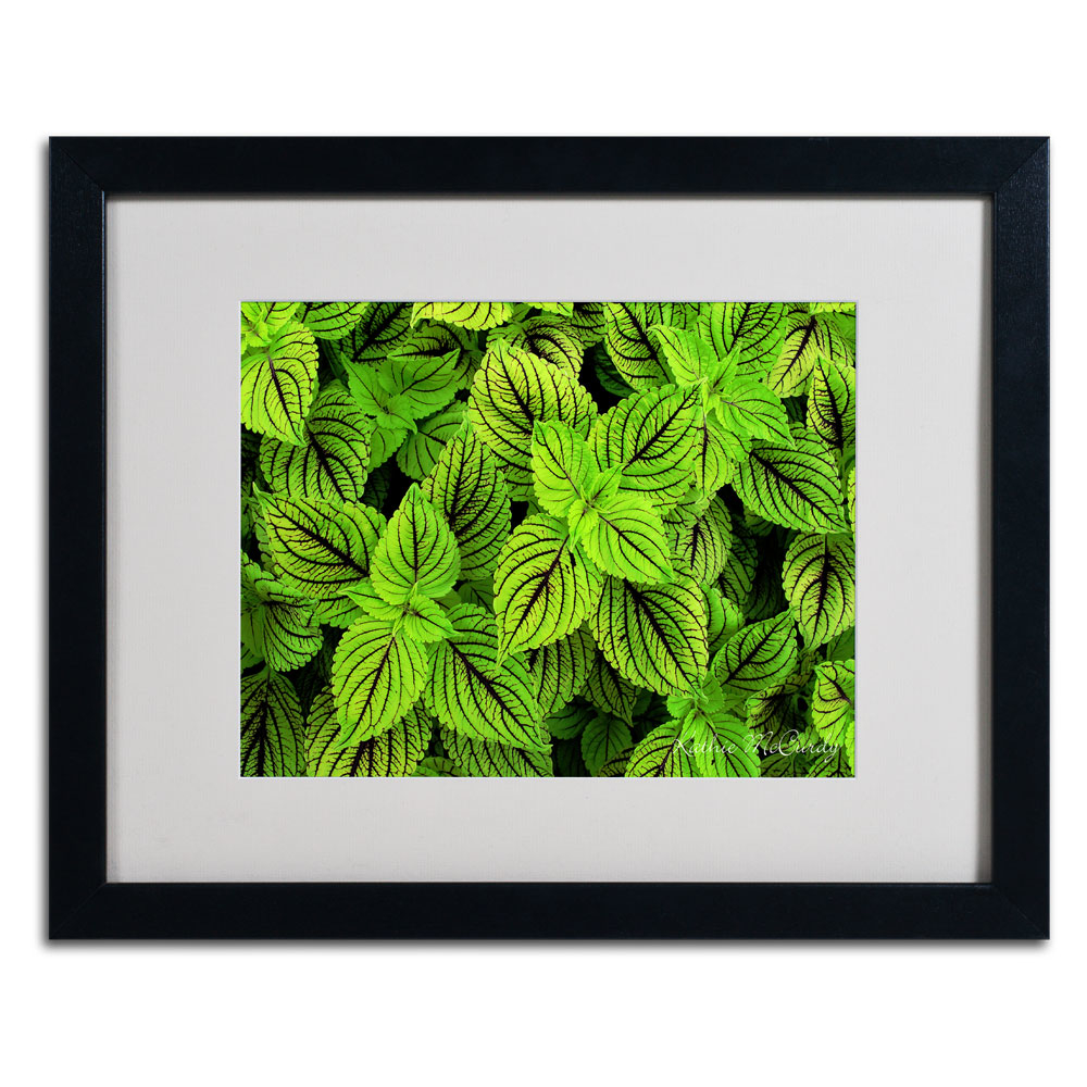Kathie McCurdy 'Coleus' Black Wooden Framed Art 18 X 22 Inches