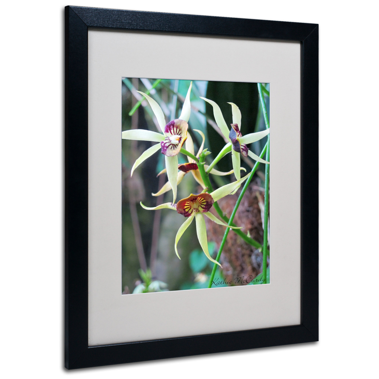 Kathie McCurdy 'Orchids I' Black Wooden Framed Art 18 X 22 Inches