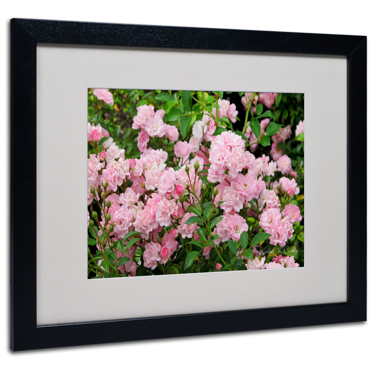 Kathie McCurdy 'Pink Roses' Black Wooden Framed Art 18 X 22 Inches
