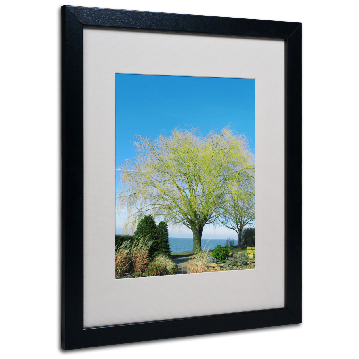 Kathie McCurdy 'Wind In The Willow' Black Wooden Framed Art 18 X 22 Inches