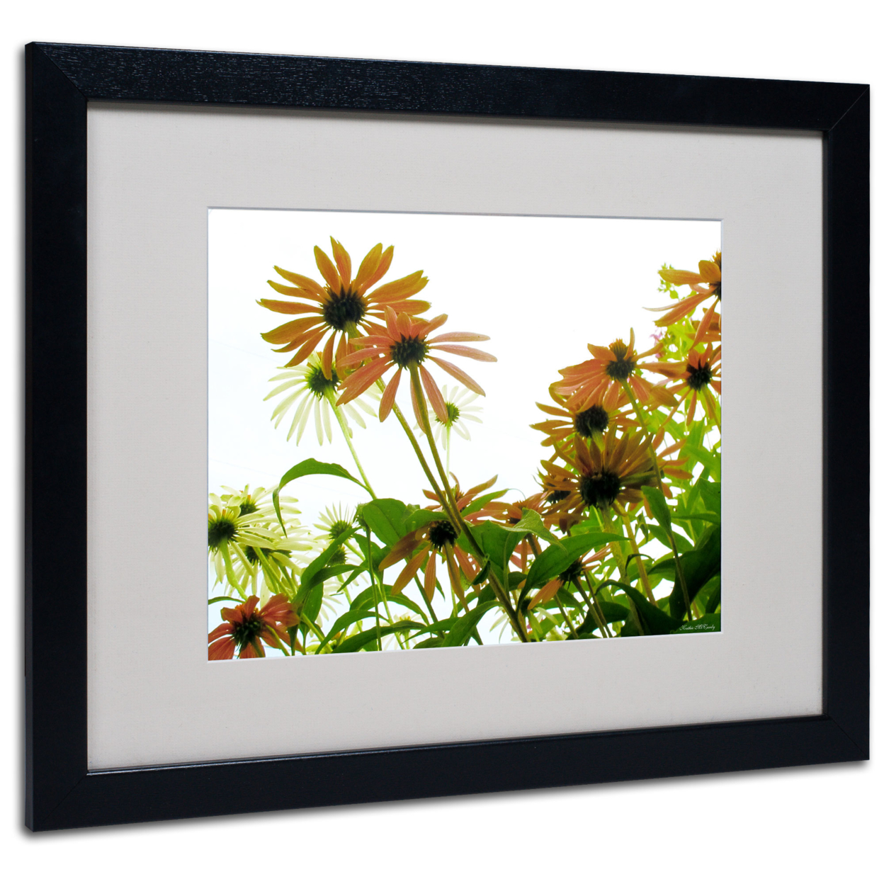 Kathie McCurdy 'Orange Coneflowers' Black Wooden Framed Art 18 X 22 Inches