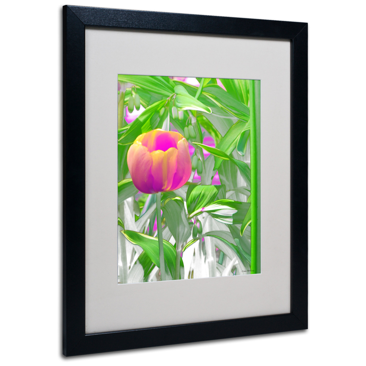 Kathie McCurdy 'Hot Tropic' Black Wooden Framed Art 18 X 22 Inches