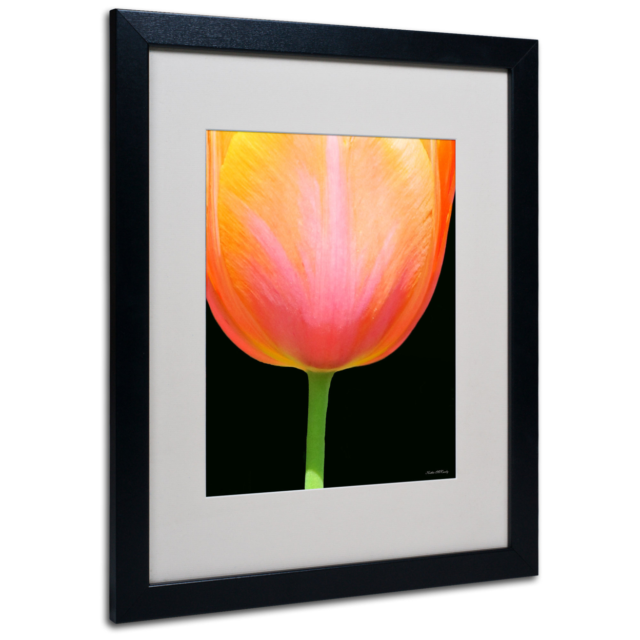 Kathie McCurdy 'Orange Tulip' Black Wooden Framed Art 18 X 22 Inches