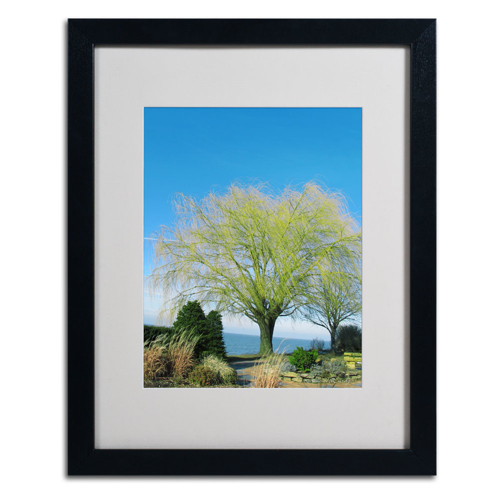 Kathie McCurdy 'Wind In The Willow' Black Wooden Framed Art 18 X 22 Inches