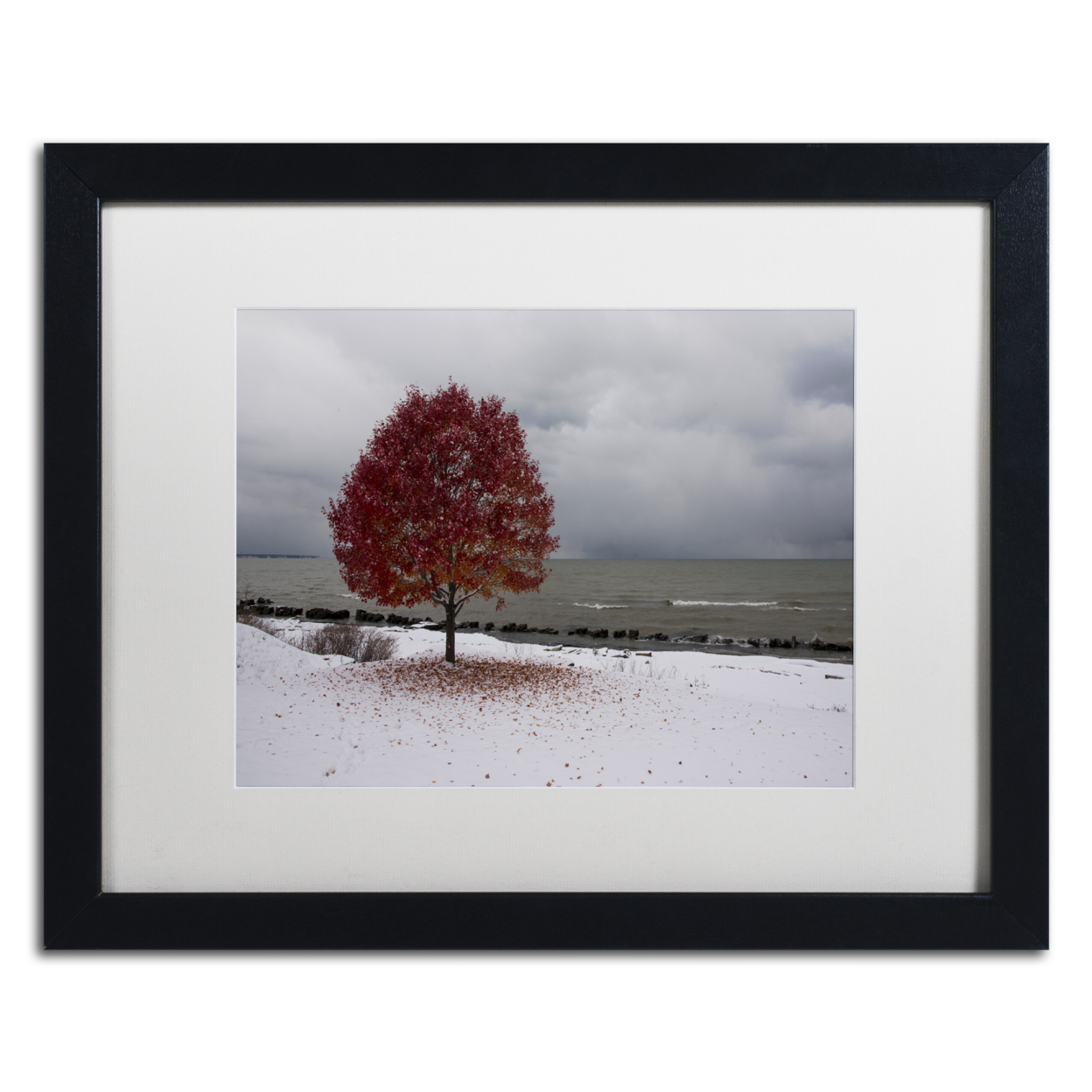 Kurt Shaffer 'Autumn Contrast On The Lake' Black Wooden Framed Art 18 X 22 Inches