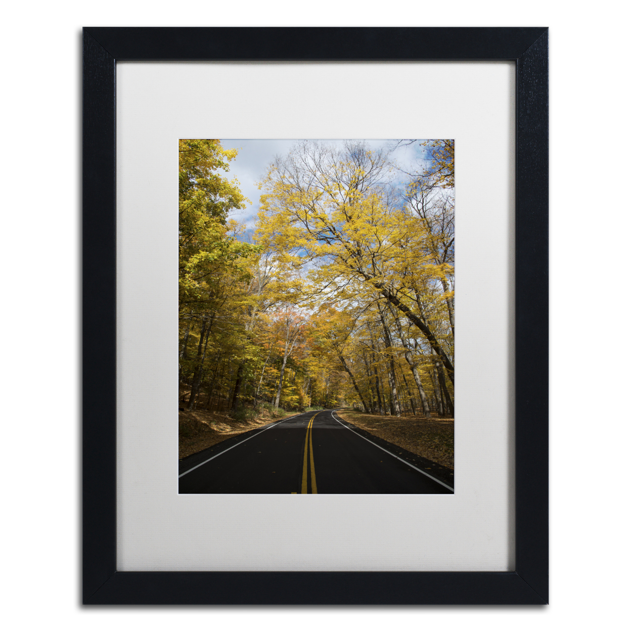 Kurt Shaffer 'Autumn Along The Valley Parkway 2' Black Wooden Framed Art 18 X 22 Inches