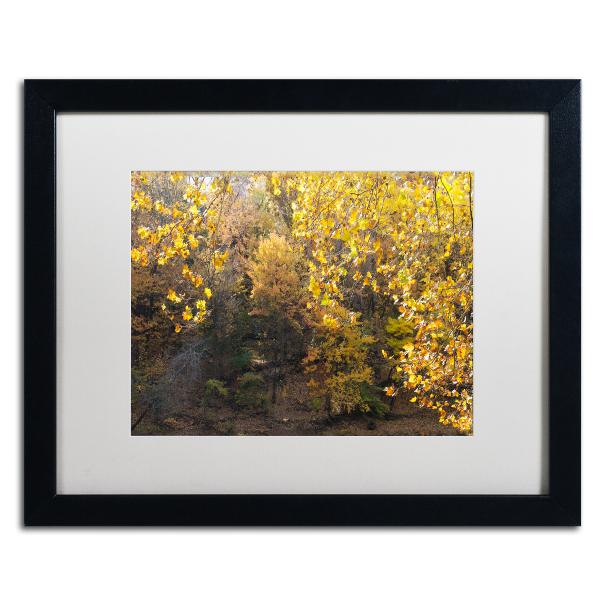 Kurt Shaffer 'Golden Autumn 2' Black Wooden Framed Art 18 X 22 Inches