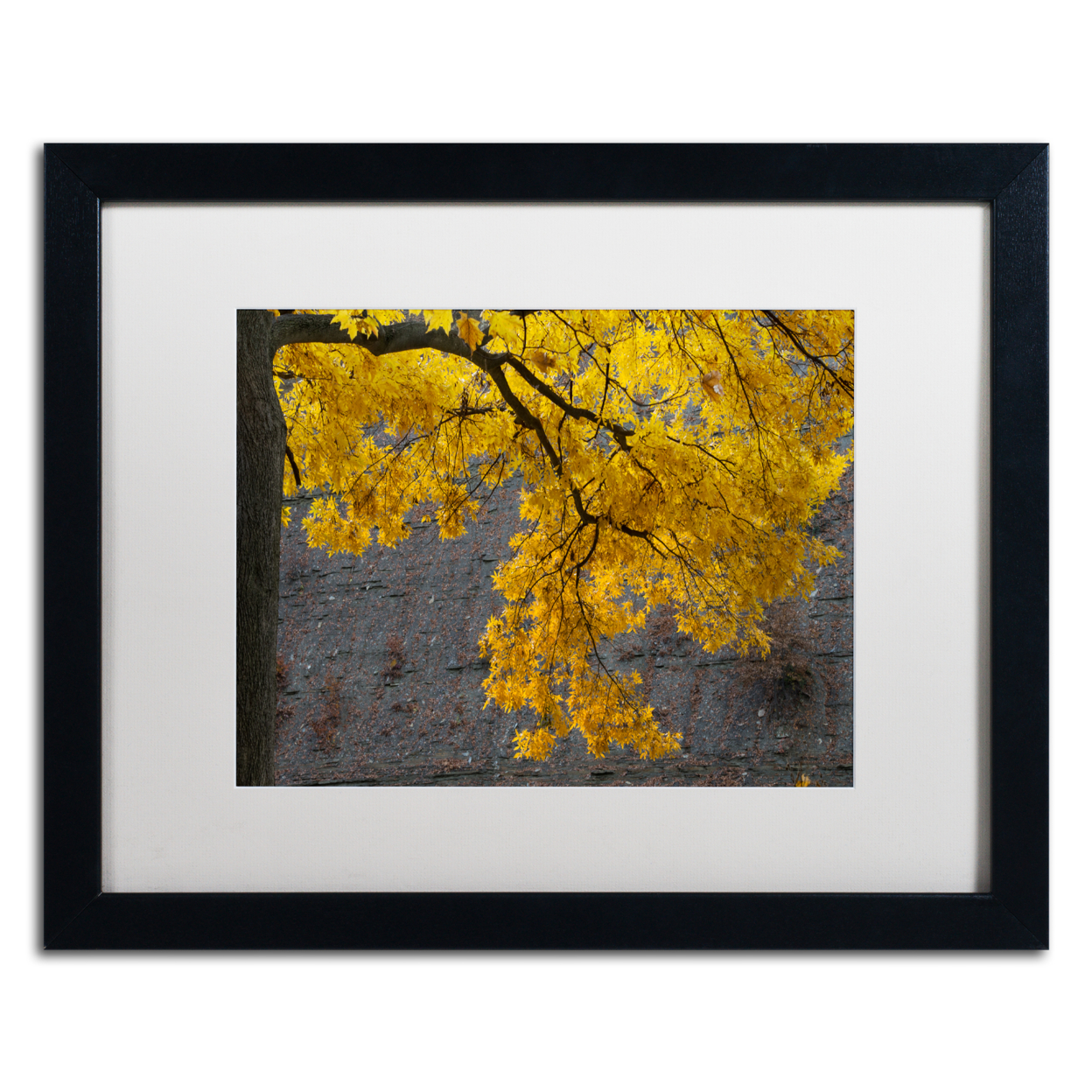 Kurt Shaffer 'Golden Autumn Color' Black Wooden Framed Art 18 X 22 Inches