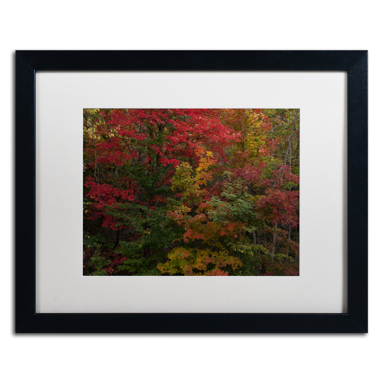 Kurt Shaffer 'Why I Love Autumn' Black Wooden Framed Art 18 X 22 Inches