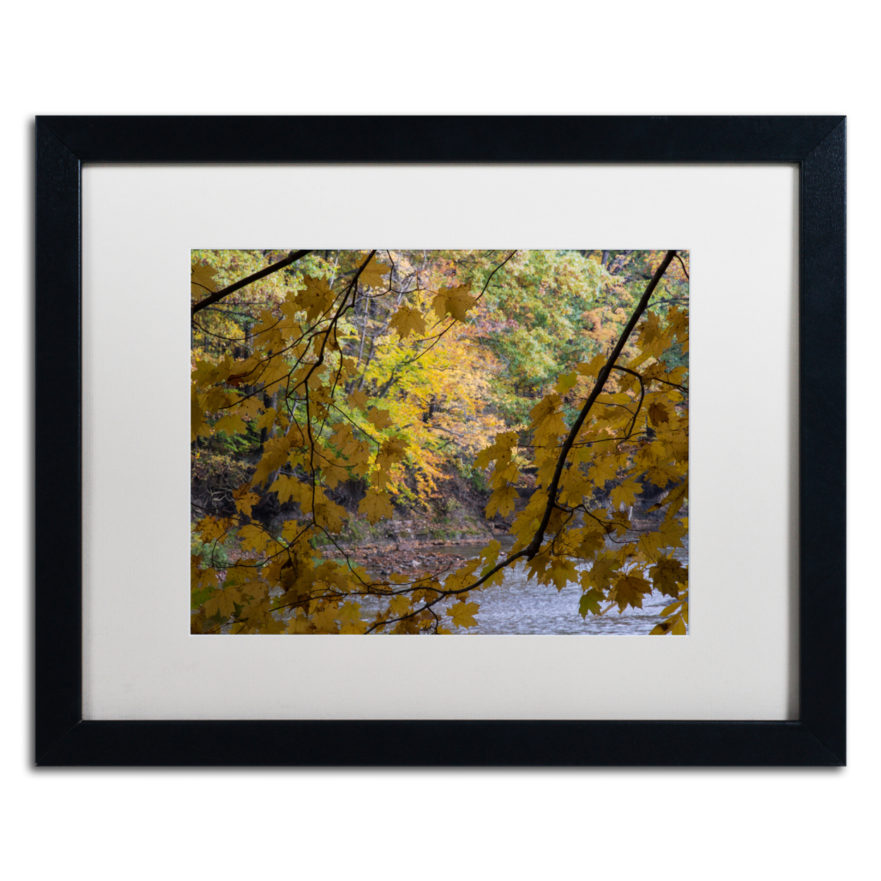 Kurt Shaffer 'Brilliant Ohio Autumn' Black Wooden Framed Art 18 X 22 Inches