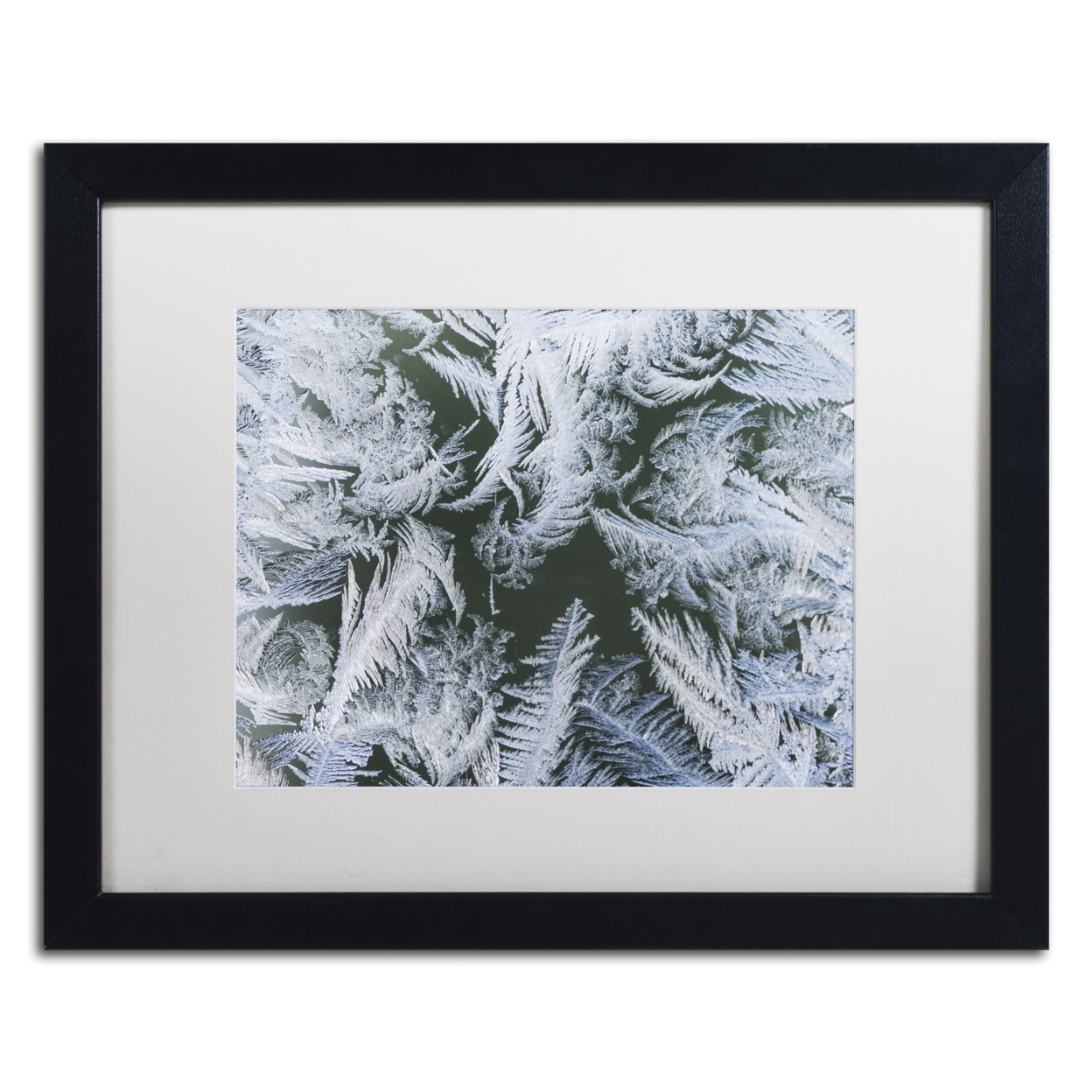 Kurt Shaffer 'Frost At Zero Degrees' Black Wooden Framed Art 18 X 22 Inches