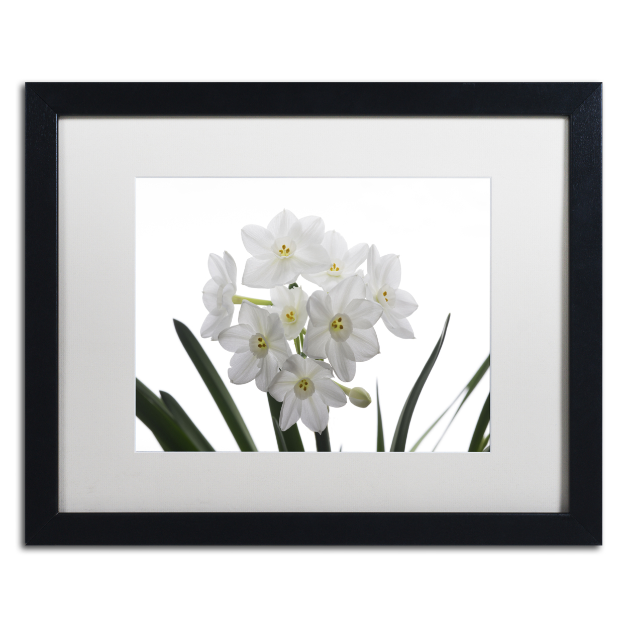 Kurt Shaffer 'Paper White Bouquet' Black Wooden Framed Art 18 X 22 Inches