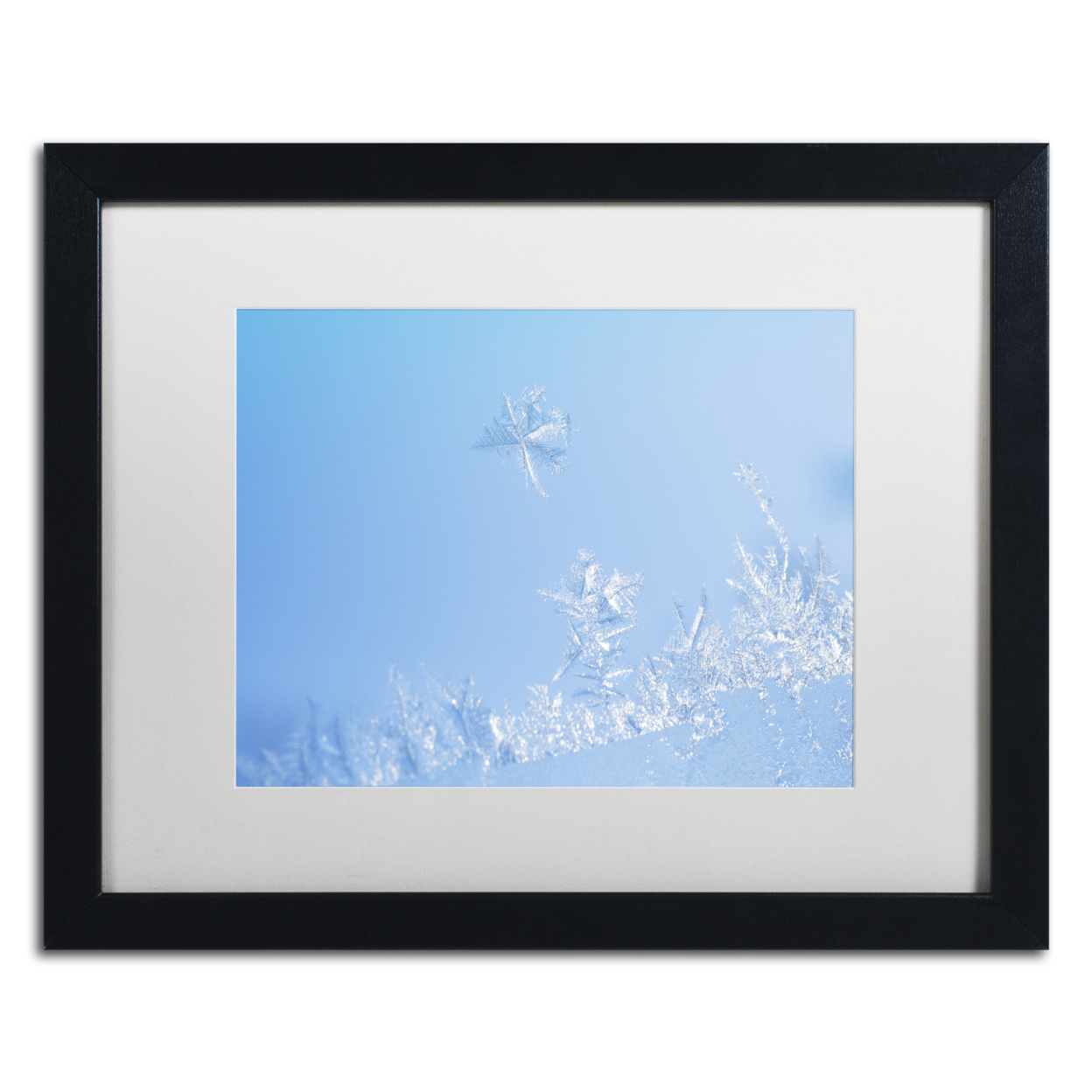 Kurt Shaffer 'Window Frost' Black Wooden Framed Art 18 X 22 Inches