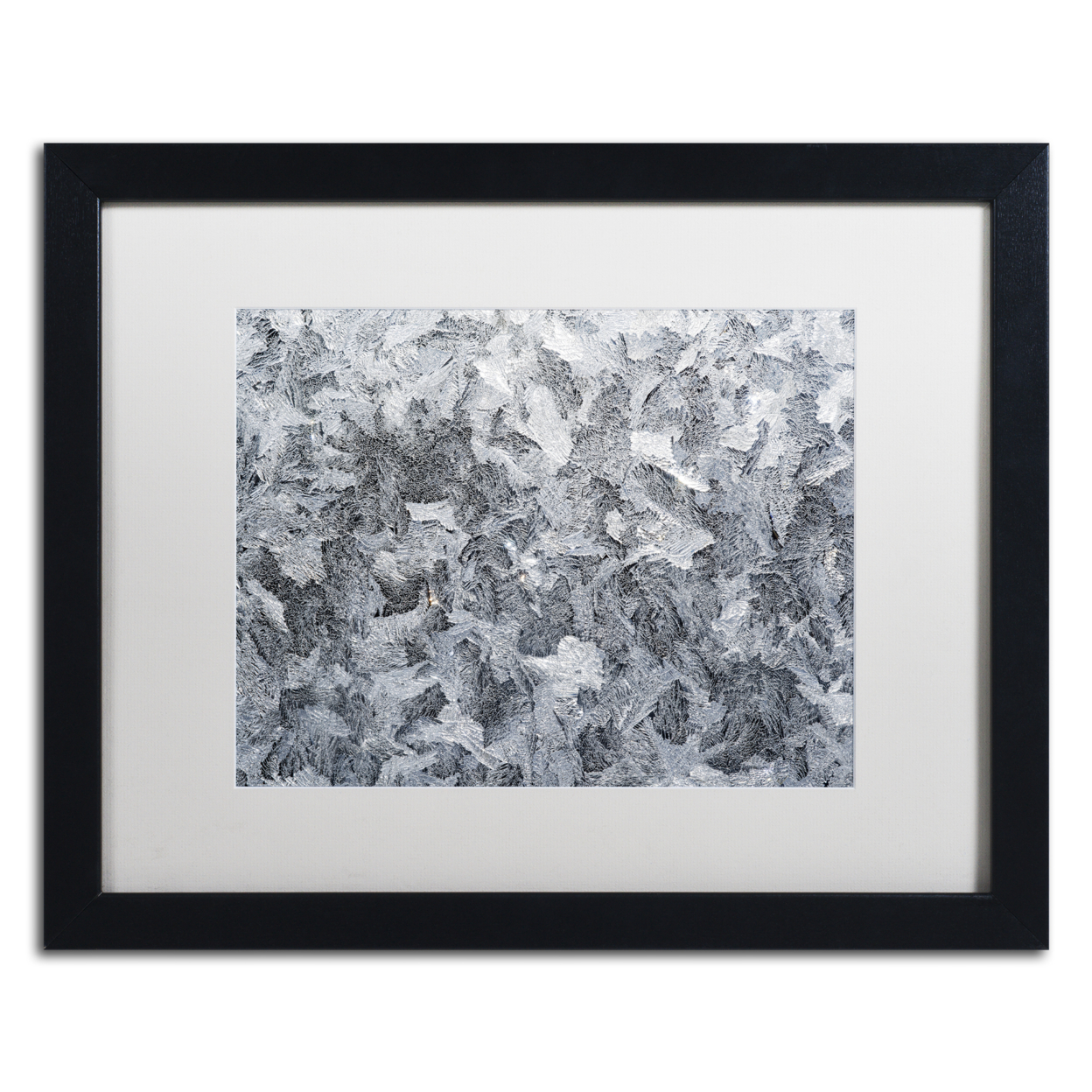 Kurt Shaffer 'Frost Mosaic' Black Wooden Framed Art 18 X 22 Inches