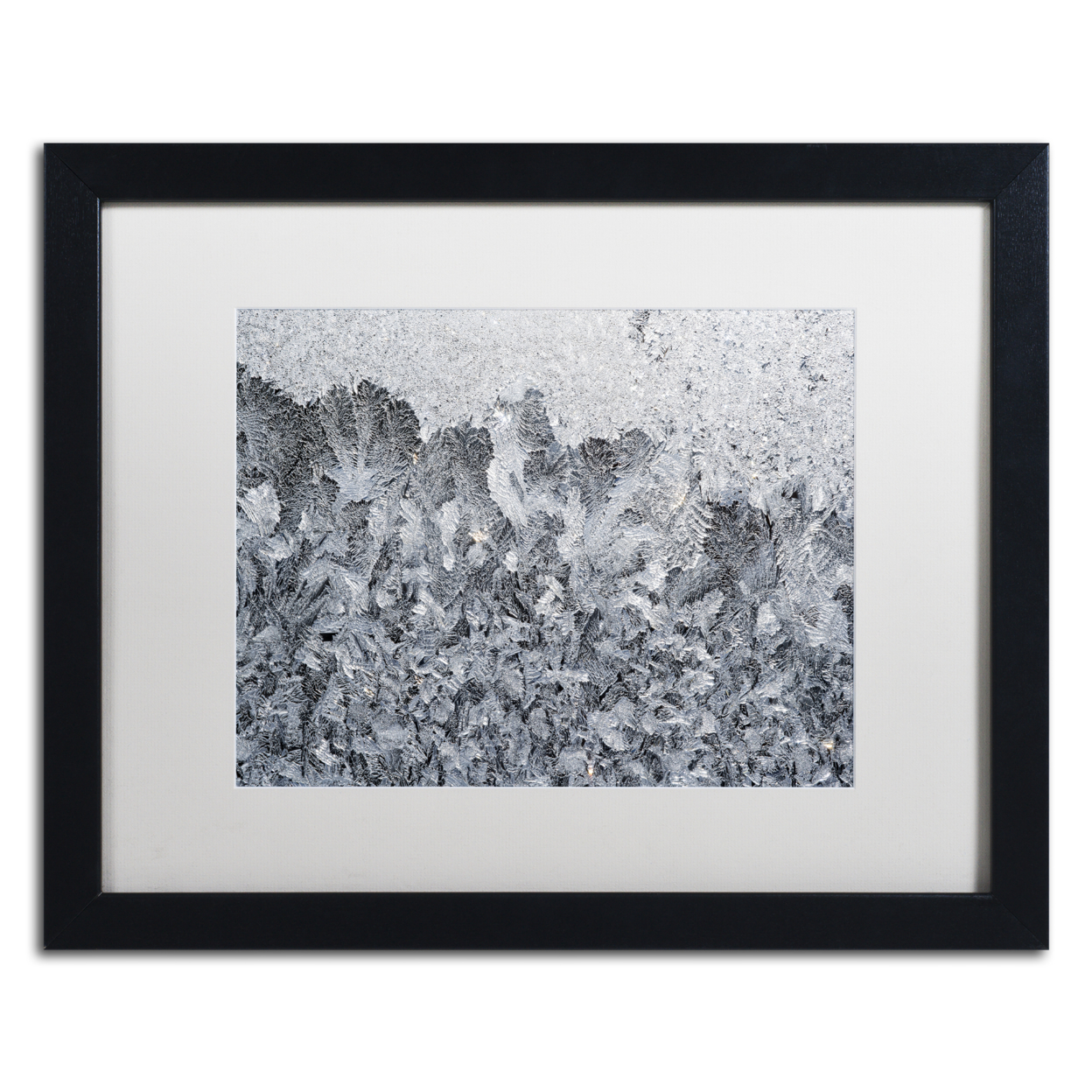 Kurt Shaffer 'Frost Mosaic 2' Black Wooden Framed Art 18 X 22 Inches