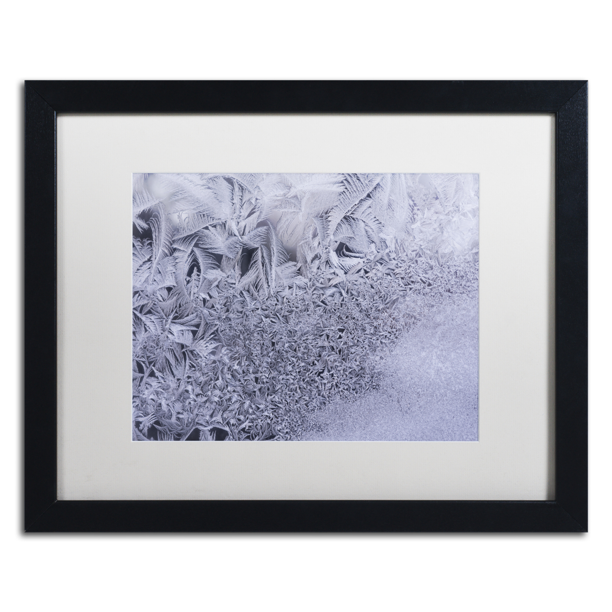 Kurt Shaffer 'Gradation Of Frost On A Window' Black Wooden Framed Art 18 X 22 Inches