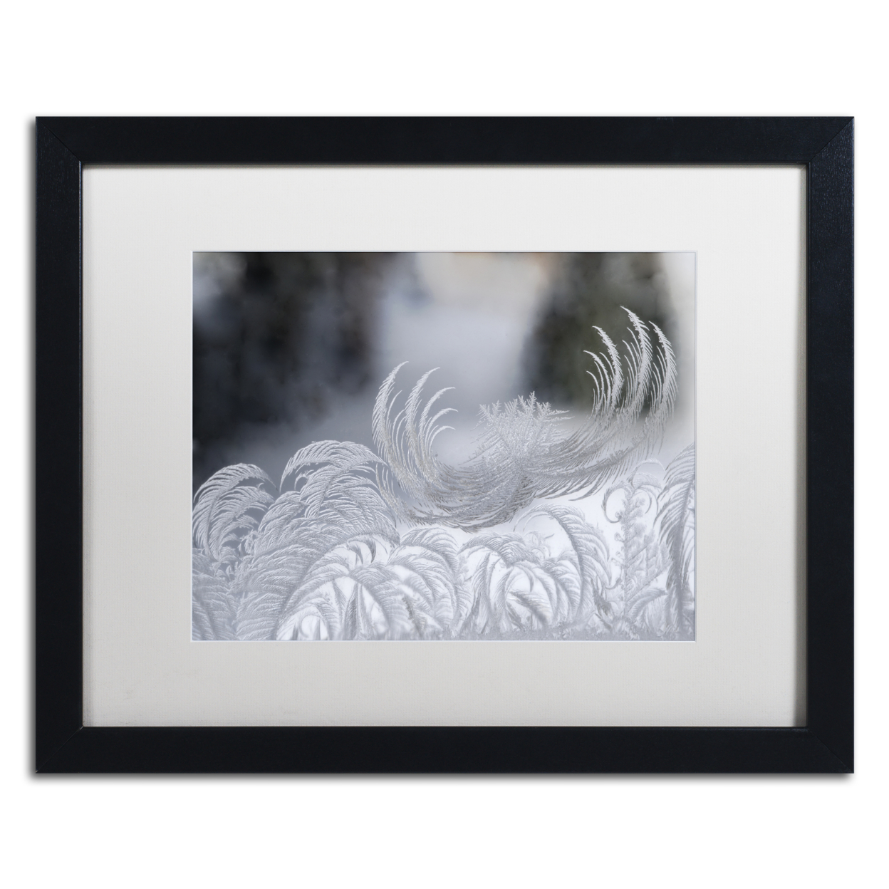 Kurt Shaffer 'February Window Frost' Black Wooden Framed Art 18 X 22 Inches