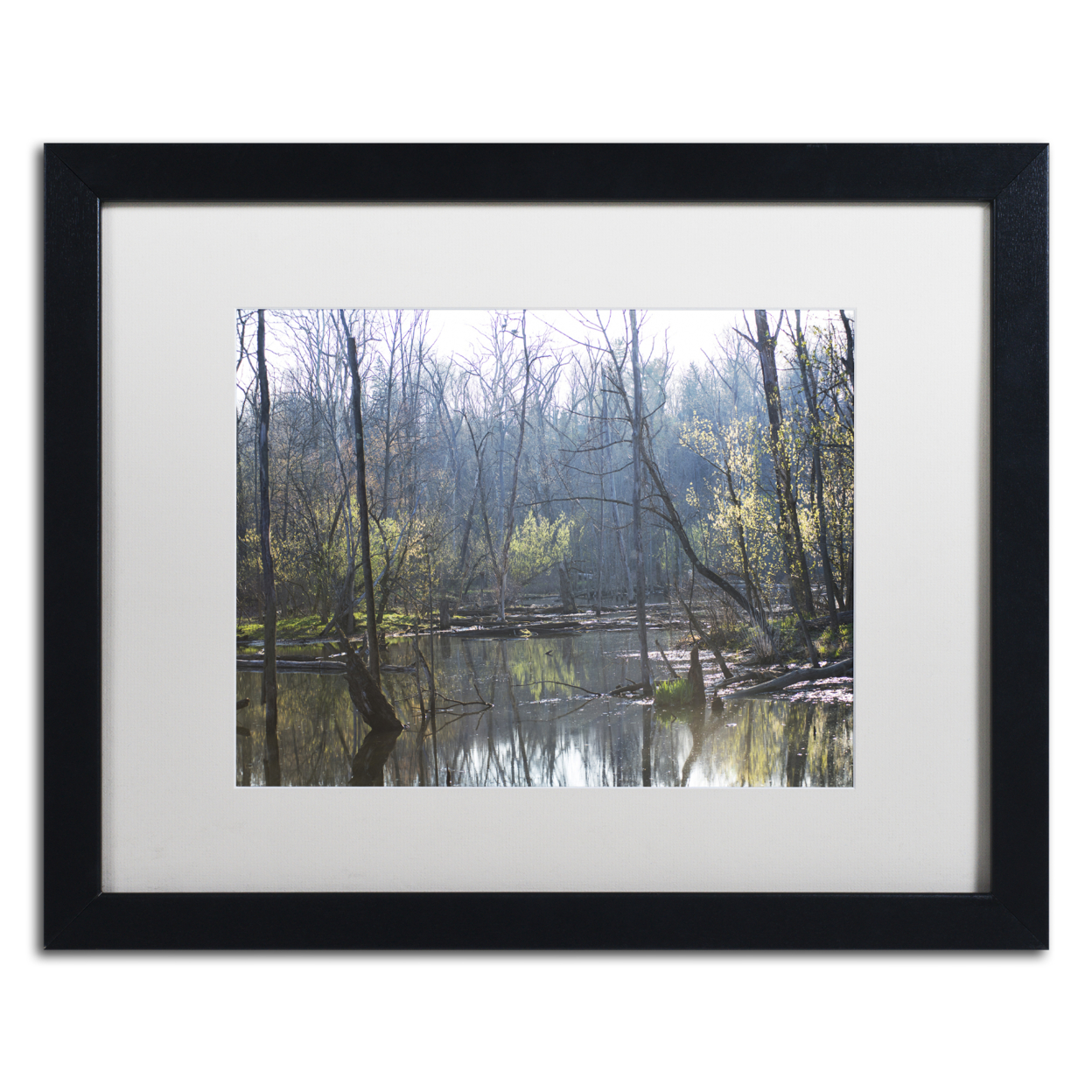 Kurt Shaffer 'Springtime In The Wetlands' Black Wooden Framed Art 18 X 22 Inches