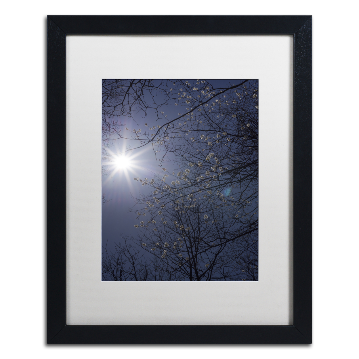 Kurt Shaffer 'Springtime Sunshine' Black Wooden Framed Art 18 X 22 Inches
