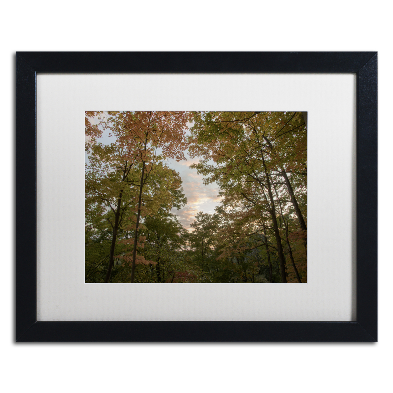 Kurt Shaffer 'Autumn Window To A Sunset' Black Wooden Framed Art 18 X 22 Inches