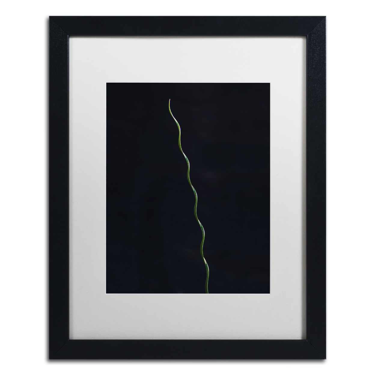 Kurt Shaffer 'The Green Spiral' Black Wooden Framed Art 18 X 22 Inches
