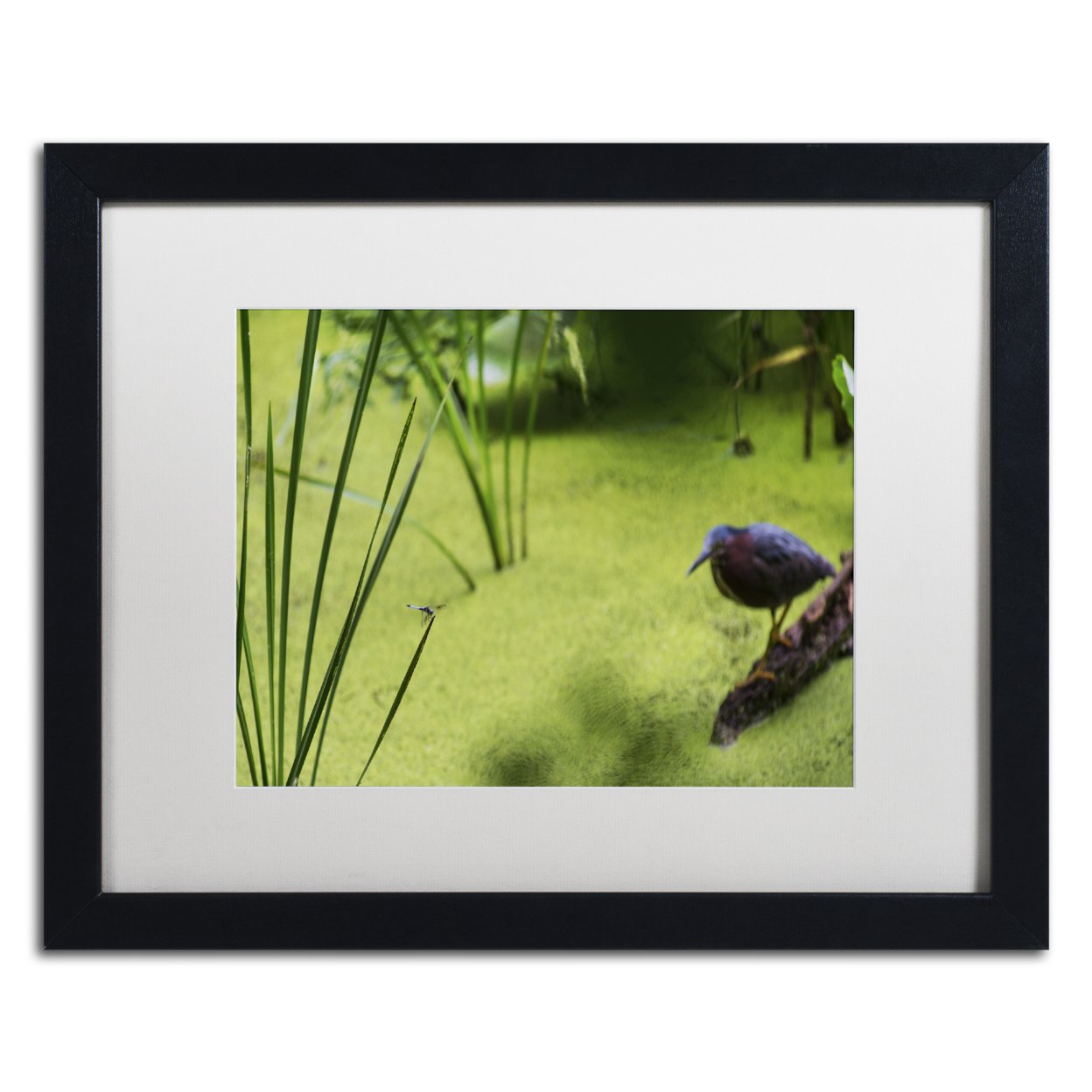 Kurt Shaffer 'Life In The Marsh' Black Wooden Framed Art 18 X 22 Inches