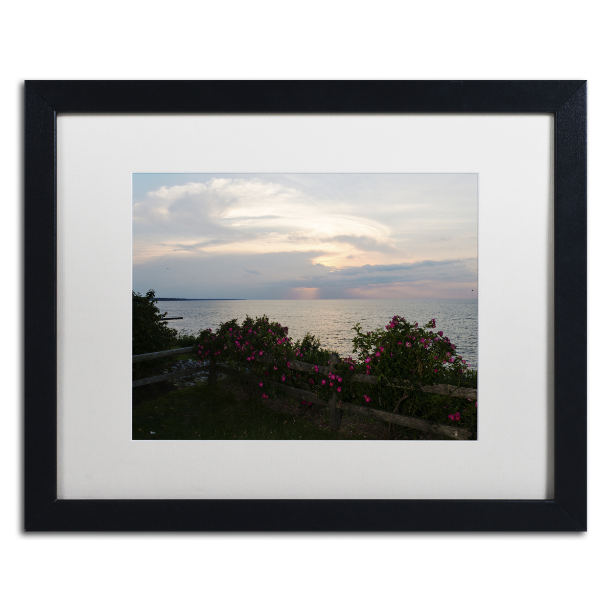 Kurt Shaffer 'Roses In Bloom Along The Lake' Black Wooden Framed Art 18 X 22 Inches