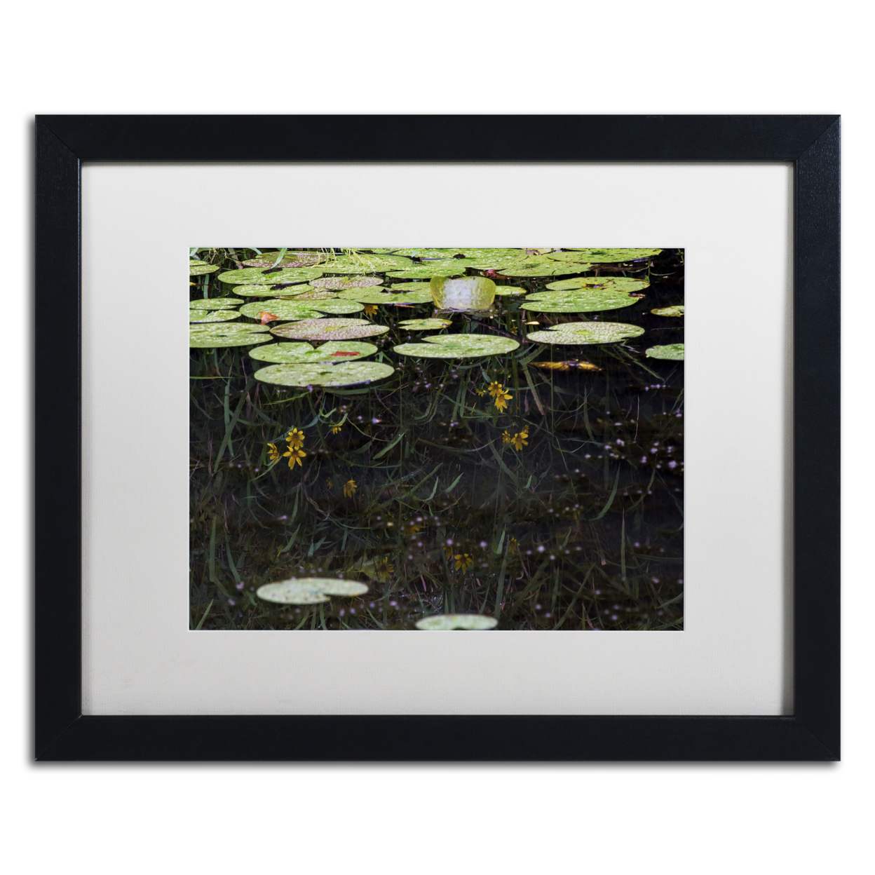 Kurt Shaffer 'Marsh Reflections' Black Wooden Framed Art 18 X 22 Inches
