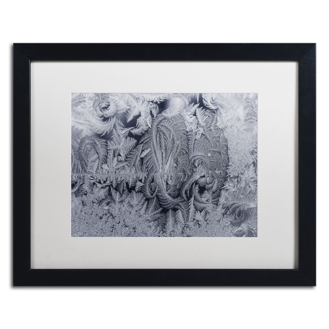 Kurt Shaffer 'Frost On My Window 3' Black Wooden Framed Art 18 X 22 Inches