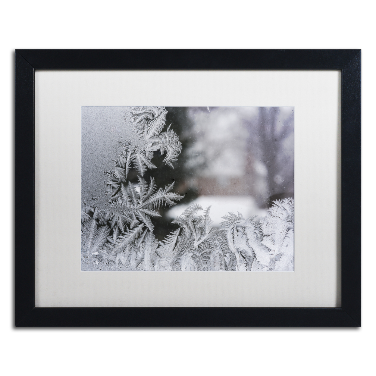 Kurt Shaffer 'Frost On My Window IV' Black Wooden Framed Art 18 X 22 Inches