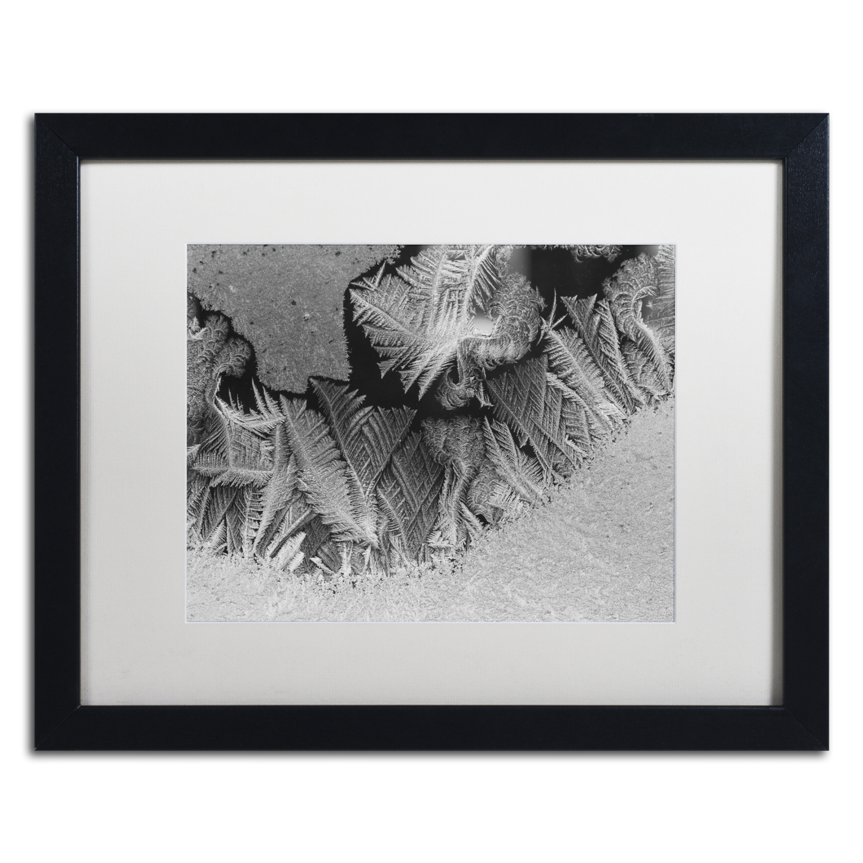Kurt Shaffer 'Window Frost Pattern 1' Black Wooden Framed Art 18 X 22 Inches