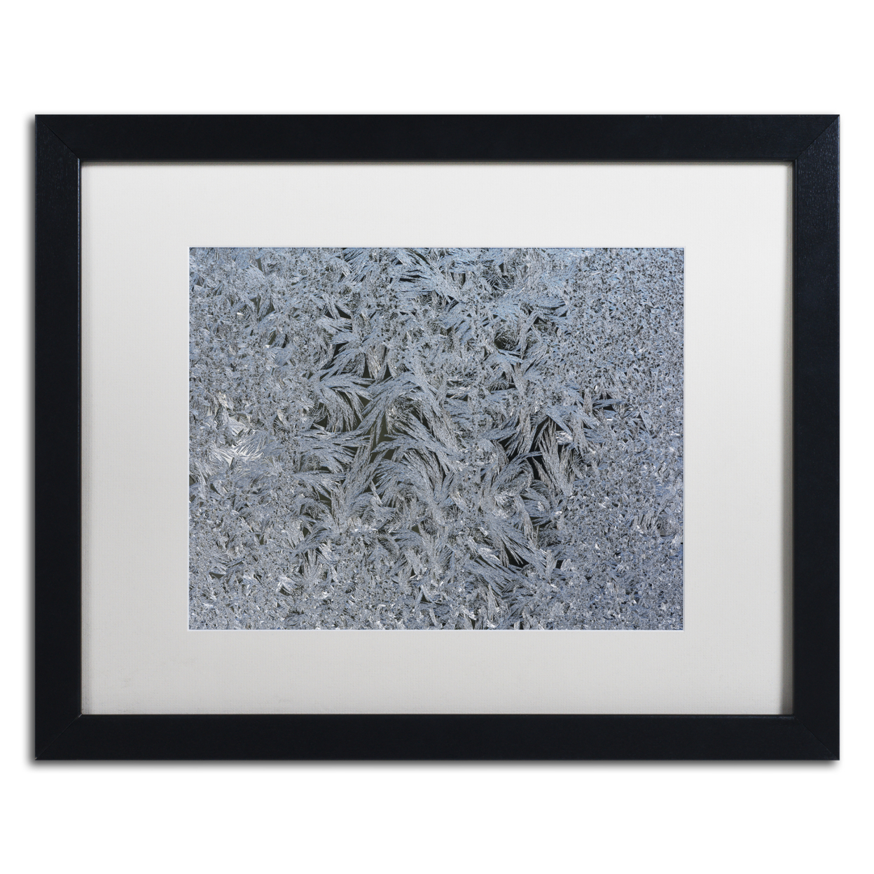 Kurt Shaffer 'Window Frosting' Black Wooden Framed Art 18 X 22 Inches