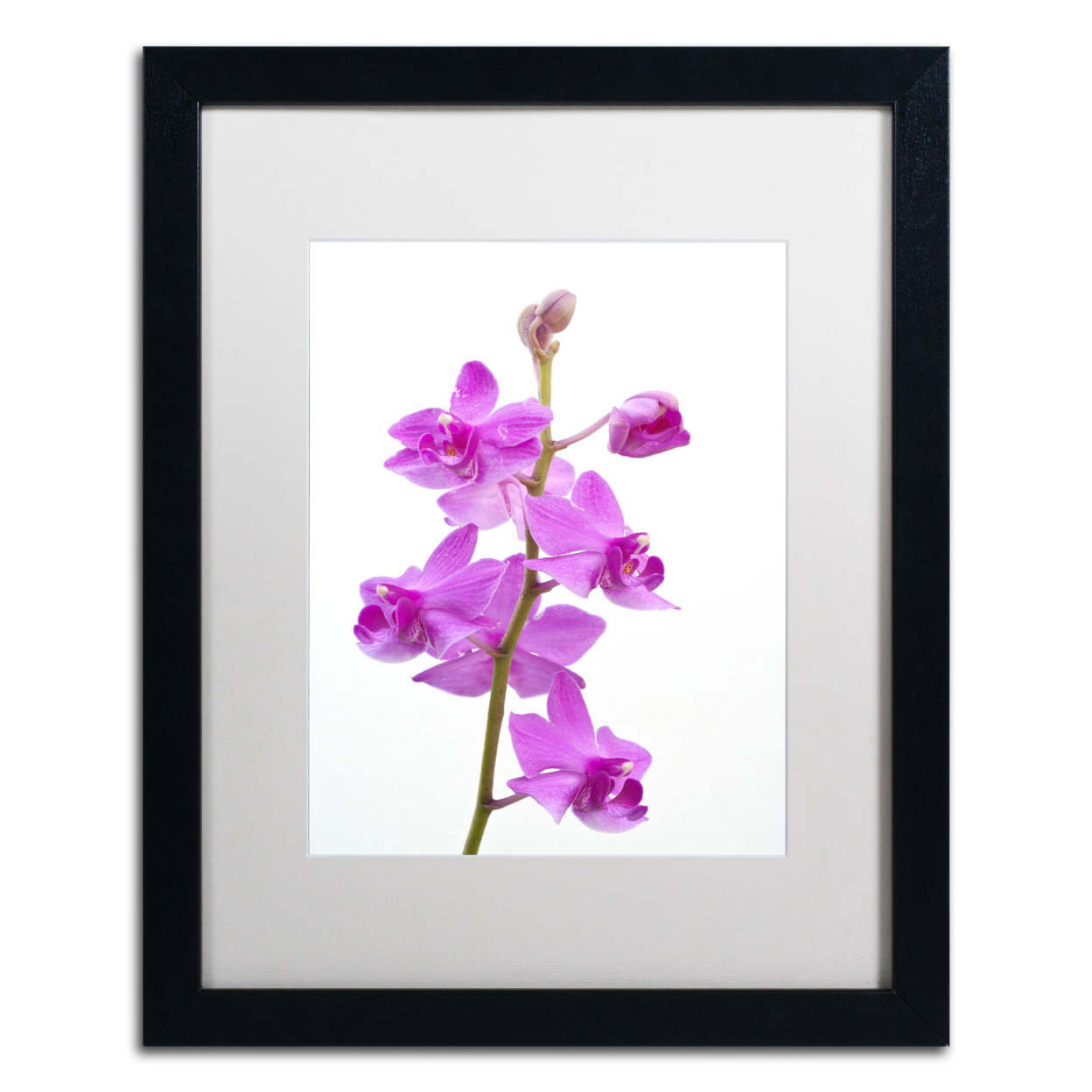 Kurt Shaffer 'Purple Orchids' Black Wooden Framed Art 18 X 22 Inches