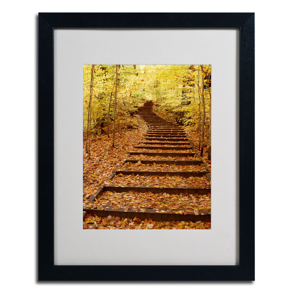 Kurt Shaffer 'Fall Stairway' Black Wooden Framed Art 18 X 22 Inches