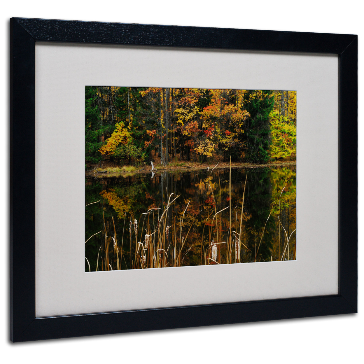 Kurt Shaffer 'Beautiful Memory' Black Wooden Framed Art 18 X 22 Inches