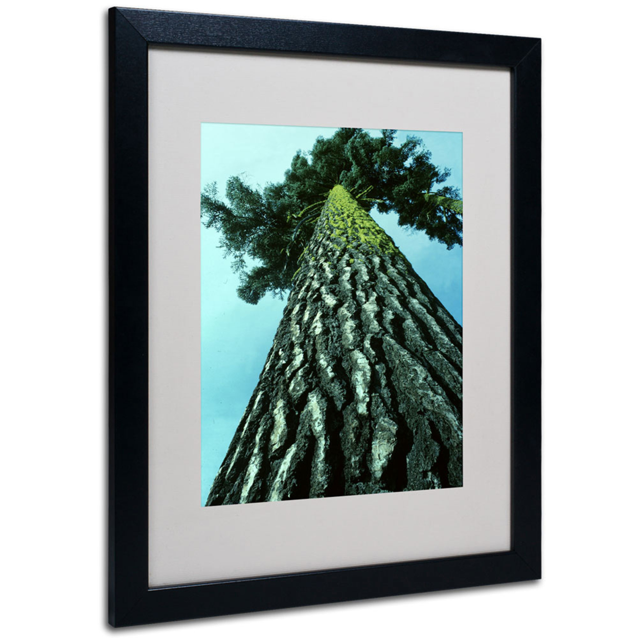 Kurt Shaffer 'A Tree Of Life' Black Wooden Framed Art 18 X 22 Inches
