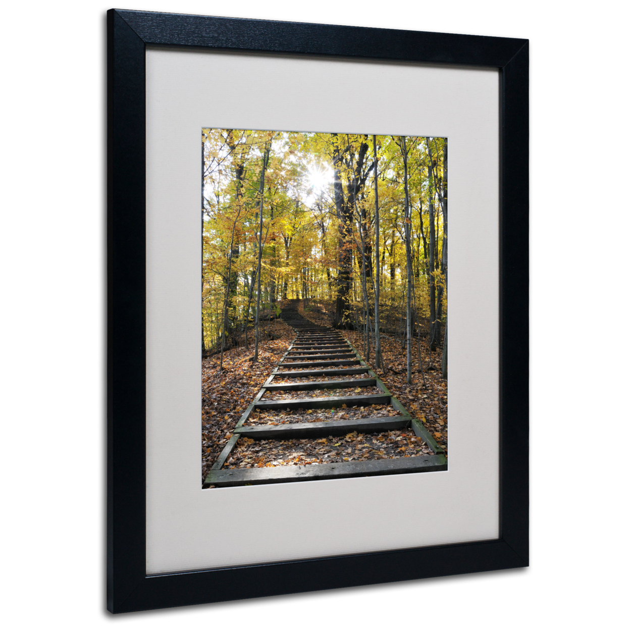 Kurt Shaffer 'Fall Stairway 2' Black Wooden Framed Art 18 X 22 Inches