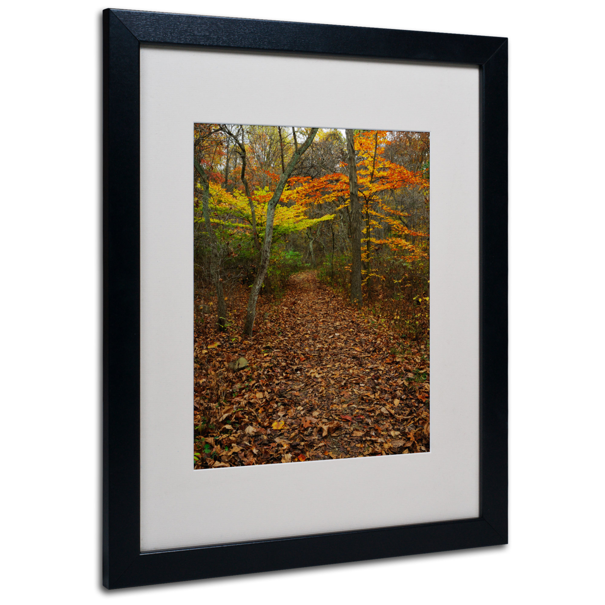Kurt Shaffer 'Late Autumn Hike' Black Wooden Framed Art 18 X 22 Inches