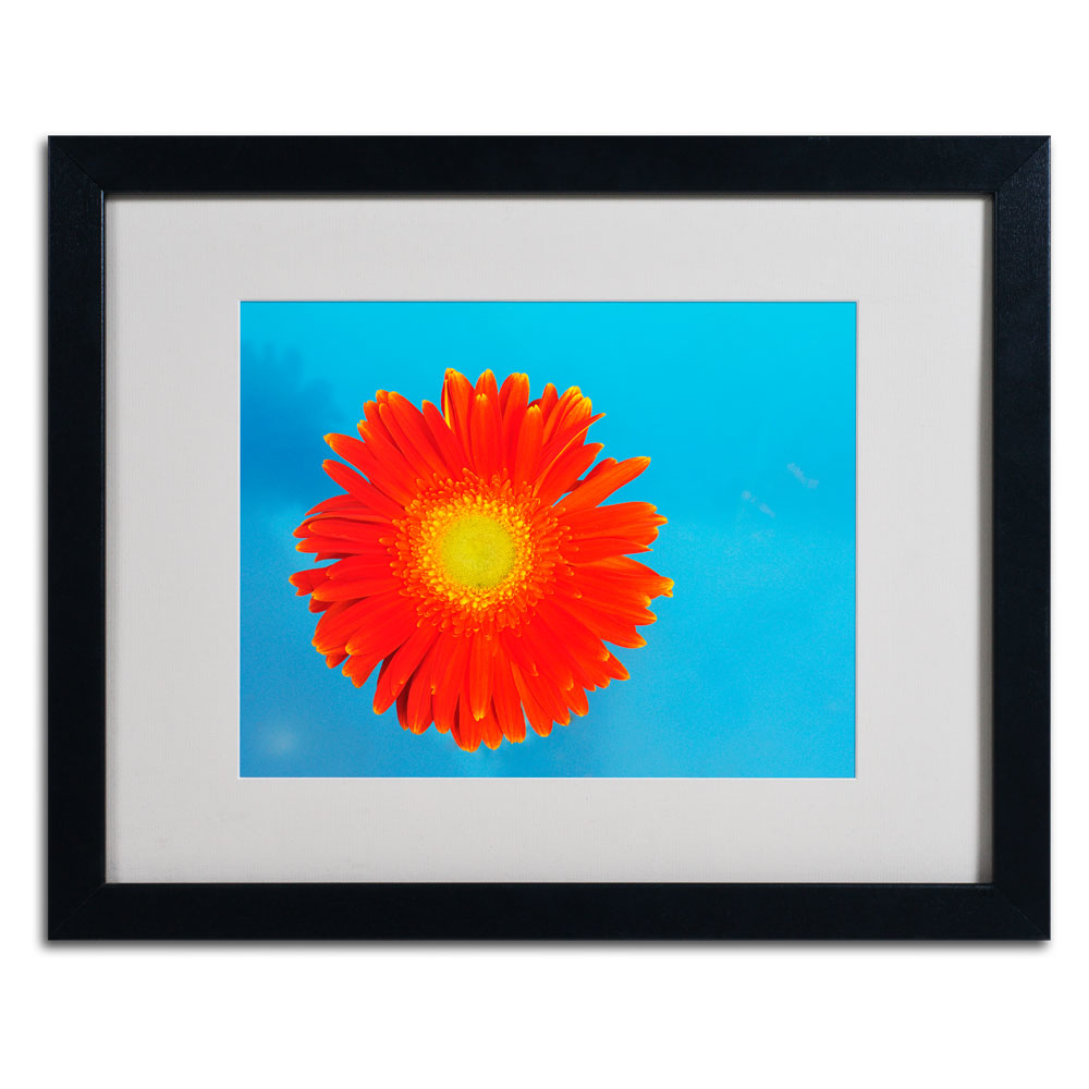 Kurt Shaffer 'Orange And Blue' Black Wooden Framed Art 18 X 22 Inches