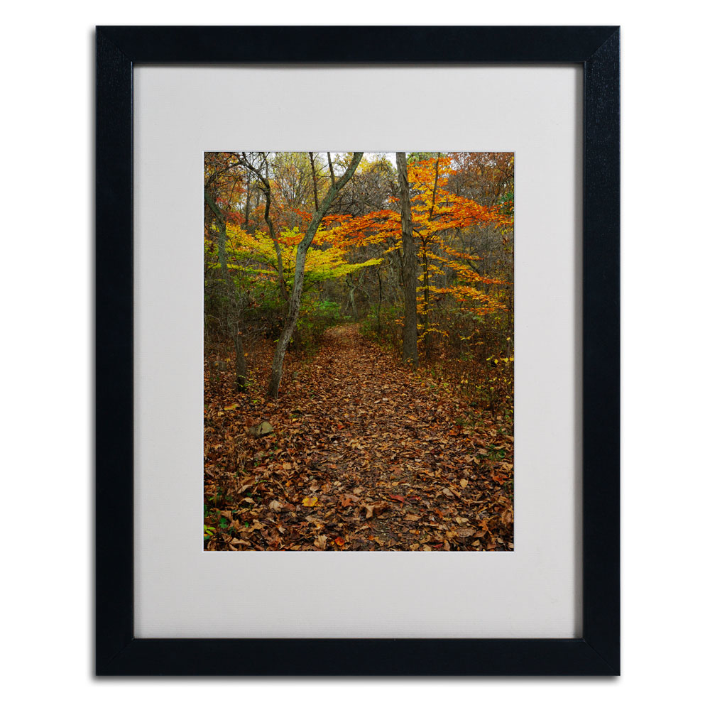 Kurt Shaffer 'Late Autumn Hike' Black Wooden Framed Art 18 X 22 Inches