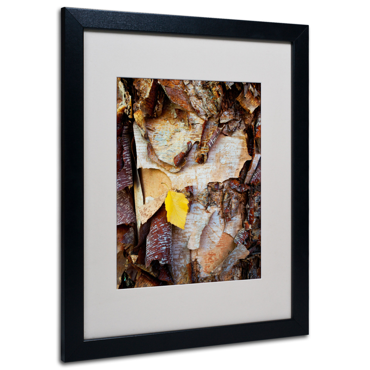 Kurt Shaffer 'Birch Leaf' Black Wooden Framed Art 18 X 22 Inches