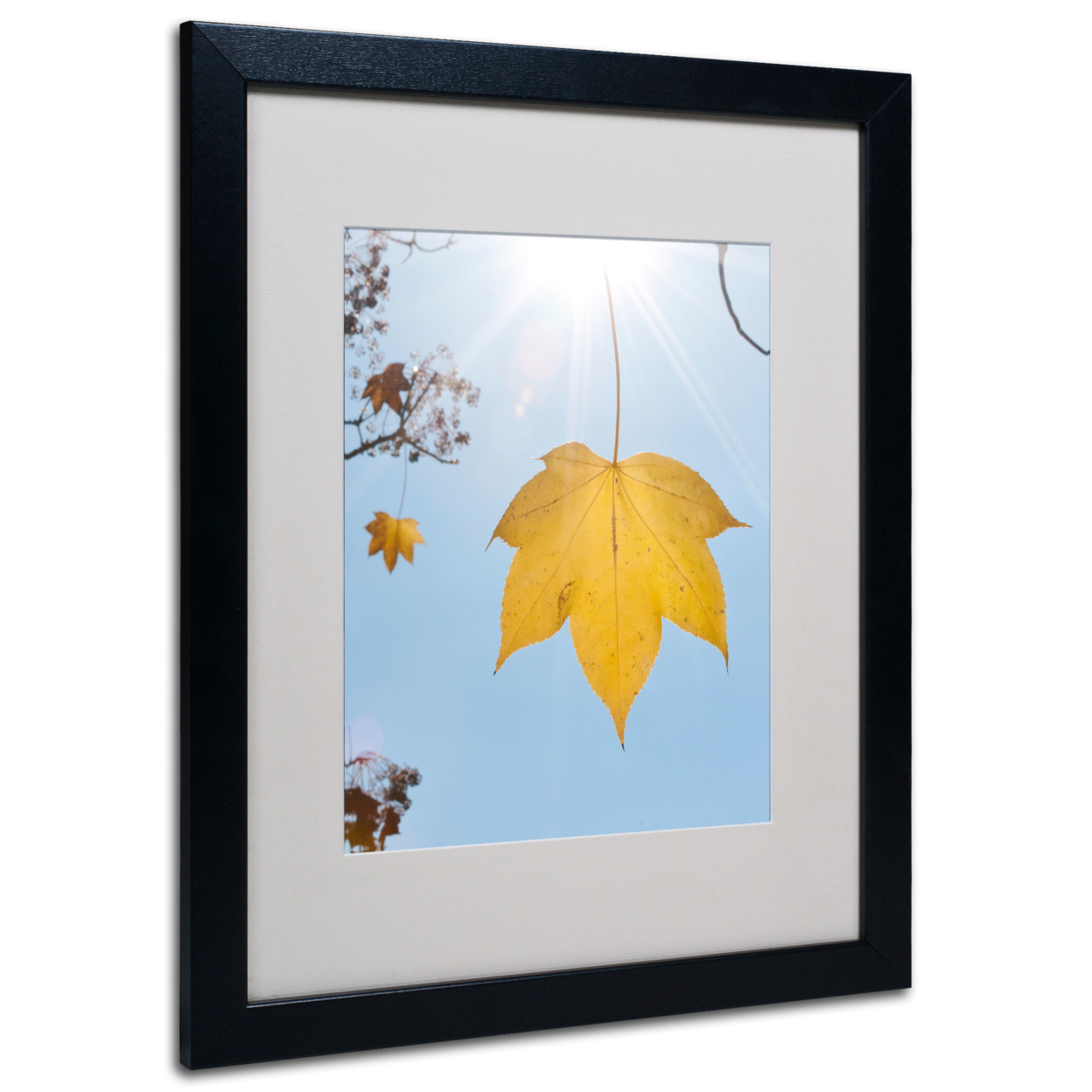 Kurt Shaffer 'Autumn Inspiration' Black Wooden Framed Art 18 X 22 Inches